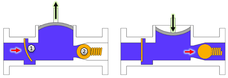 Exemples de clapets anti-retour dans une pompe à membrane